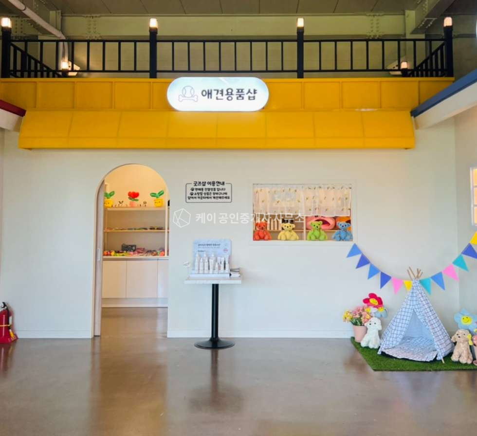 경기 파주시 탄현면 금산리 급매로 저렴, 신축, 애견카페등 애견관련업종 강추, 넓은 주차장, 옥상까지 운동장으로 사용가능 매매 매물번호 11078 사진 6