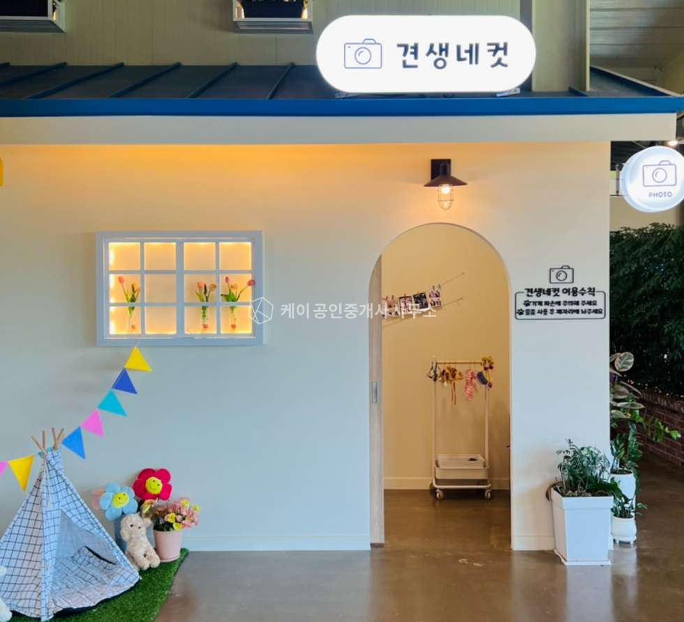 경기 파주시 탄현면 금산리 급매로 저렴, 신축, 애견카페등 애견관련업종 강추, 넓은 주차장, 옥상까지 운동장으로 사용가능 매매 매물번호 11078 사진 8