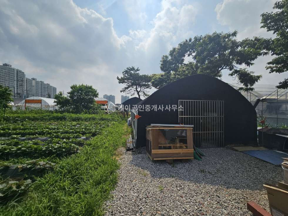 경기 고양일산서구 가좌동 주1동 가좌동 4차선 대로변 농림창고 매매 매매 매물번호 10064 사진 8