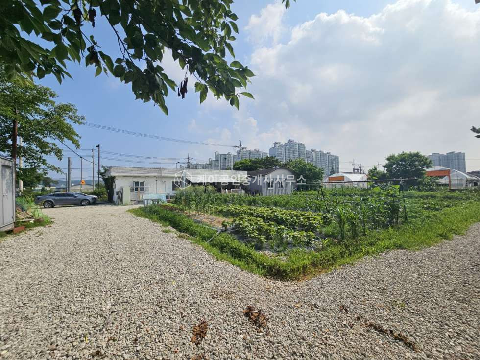 경기 고양일산서구 가좌동 주1동 가좌동 4차선 대로변 농림창고 매매 매매 매물번호 10064 사진 9
