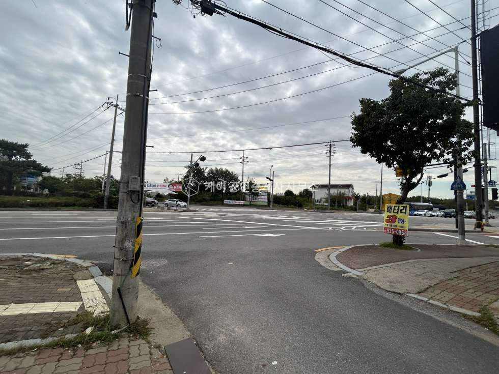 경기 고양일산서구 덕이동 덕이동 로데오거리인근, 큰차진입가능한 단독마당 근생창고 월세 매물번호 11212 사진 8