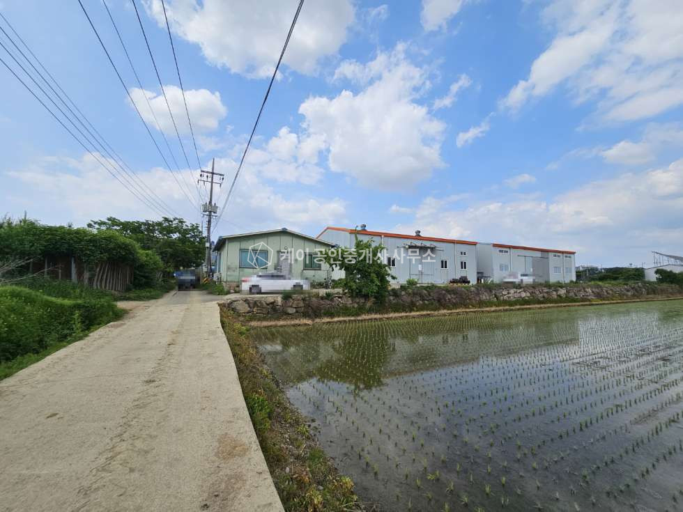 경기 고양일산서구 가좌동 가좌동 송산로 4차선도로 인접, 농업용창고, 버섯재배사창고 매매 매매 매물번호 10037 사진 1