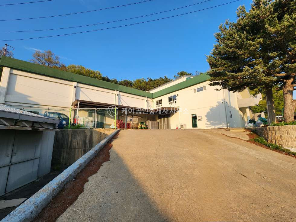 경기 파주시 맥금동 파주 연면적 483평 해썹인증 공장 통매매, 하수직관, 고전력 280kw, 화물리프트O, 자유로, 제2자유로 이용 편리 매매 매물번호 12040 사진 19