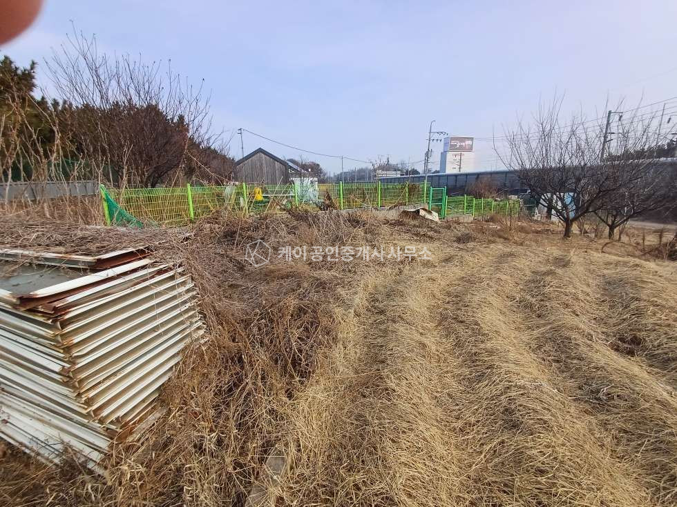 인천 영종구 운북동 영종도 단독주택지, 자연녹지지역, 급매물 매매 매물번호 11423 사진 5