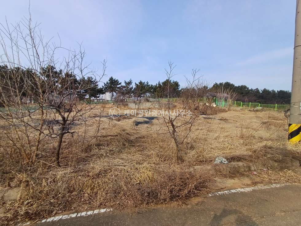 인천 영종구 운북동 영종도 단독주택지, 자연녹지지역, 급매물 매매 매물번호 11423 사진 6