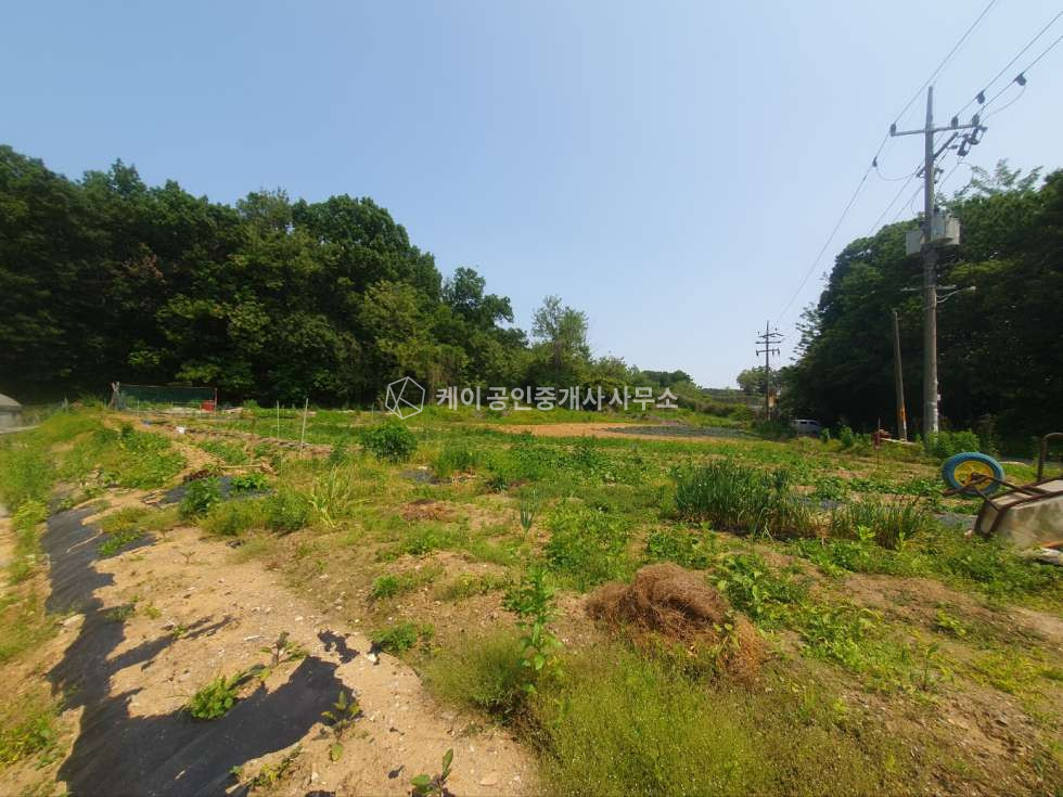 경기 김포시 통진읍 옹정리 계획관리지역(산업형), 도로지분 없는 공장,창고 부지, 추가 매입 가능 매매 매물번호 12158 사진 1