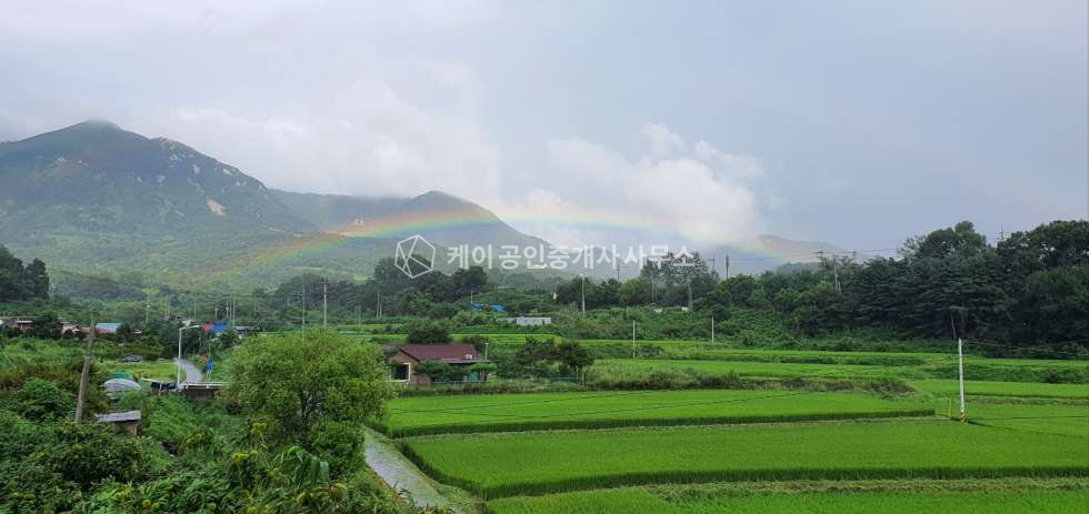 경기 양평군 양평읍 덕평리 가동 전망 좋은 식품공장, 해썹인증, 저온창고, 사무실, 단독주택 매매 매물번호 12272 사진 22