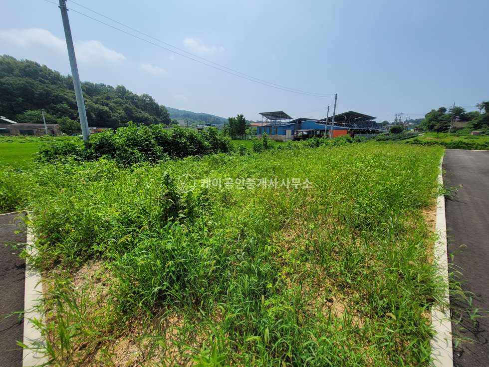경기 파주시 탄현면 만우리 파주 신축 60평 근생, 생산관리지역, 넓은단독마당, 네모반듯 매매 매물번호 11170 사진 12