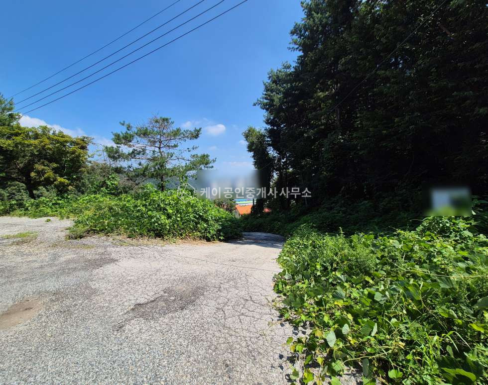 경기 남양주시 진접읍 진벌리 60평, 시세대비저렴, 5톤~1톤차량, 장현IC 12분, 민원없음, 추가임대문의 월세 매물번호 12296 사진 5