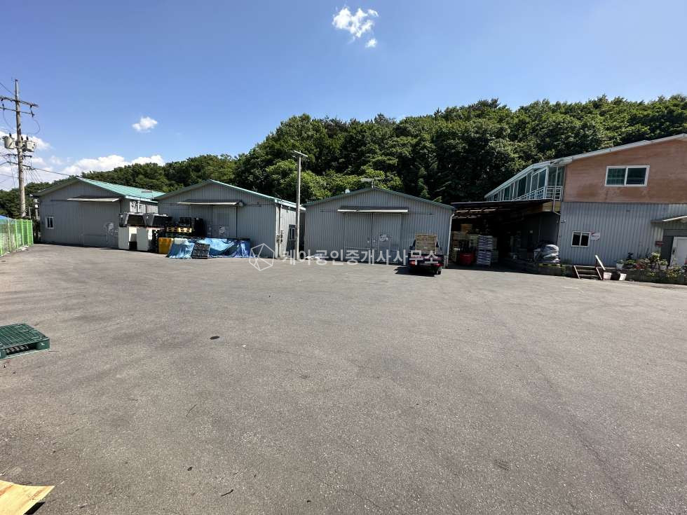 경기 고양일산동구 성석동 가동 일산동구 성석동 대형 단독마당 60평X3동,50평X1동 자동차관련시설, 1종근생 창고 매매 매매 매물번호 10091 사진 8