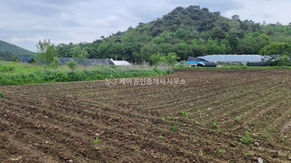 경기 김포시 하성면 가금리 약 2,361평, 건축 가능한 개발 토지 4필지 일괄 매매 매매 매물번호 12327 사진 3