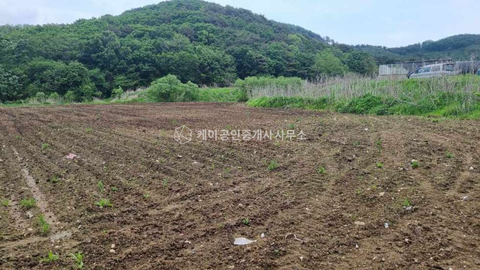 경기 김포시 하성면 가금리 약 2,361평, 건축 가능한 개발 토지 4필지 일괄 매매 매매 매물번호 12327 사진 4