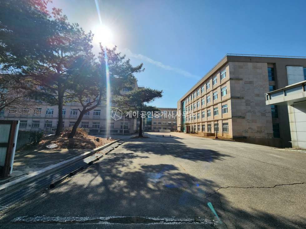 경기 김포시 통진읍 옹정리 초급매!! 대지 4,532평,연면적 4,801평, 다양한 업종 강추!, 매매가 문의 매매 매물번호 12737 사진 3