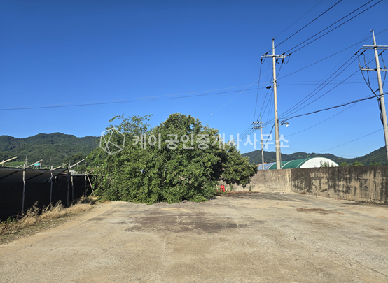 충북 충주시 가주동 가,나,다동 충주 가주동, 대지 약 4000평, 연 893평 대형 공장 매매 매매 매물번호 12893 사진 9