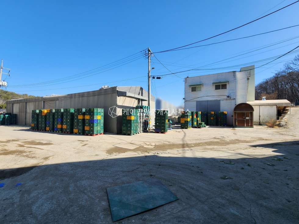 인천 검단구 마전동 전 ) 해썹인증 식품공장, 하수직관, 저온저장창고, 즉시 입주 가능 월세 매물번호 12842 사진 1