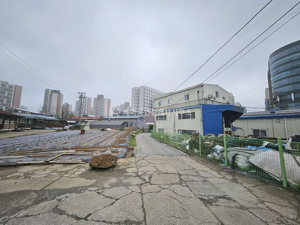 경기 김포시 양촌읍 구래리 구래리 냉장 냉동 시설 준비된 대로변 가까운 145평 임대 월세 매물번호 10760 사진 13